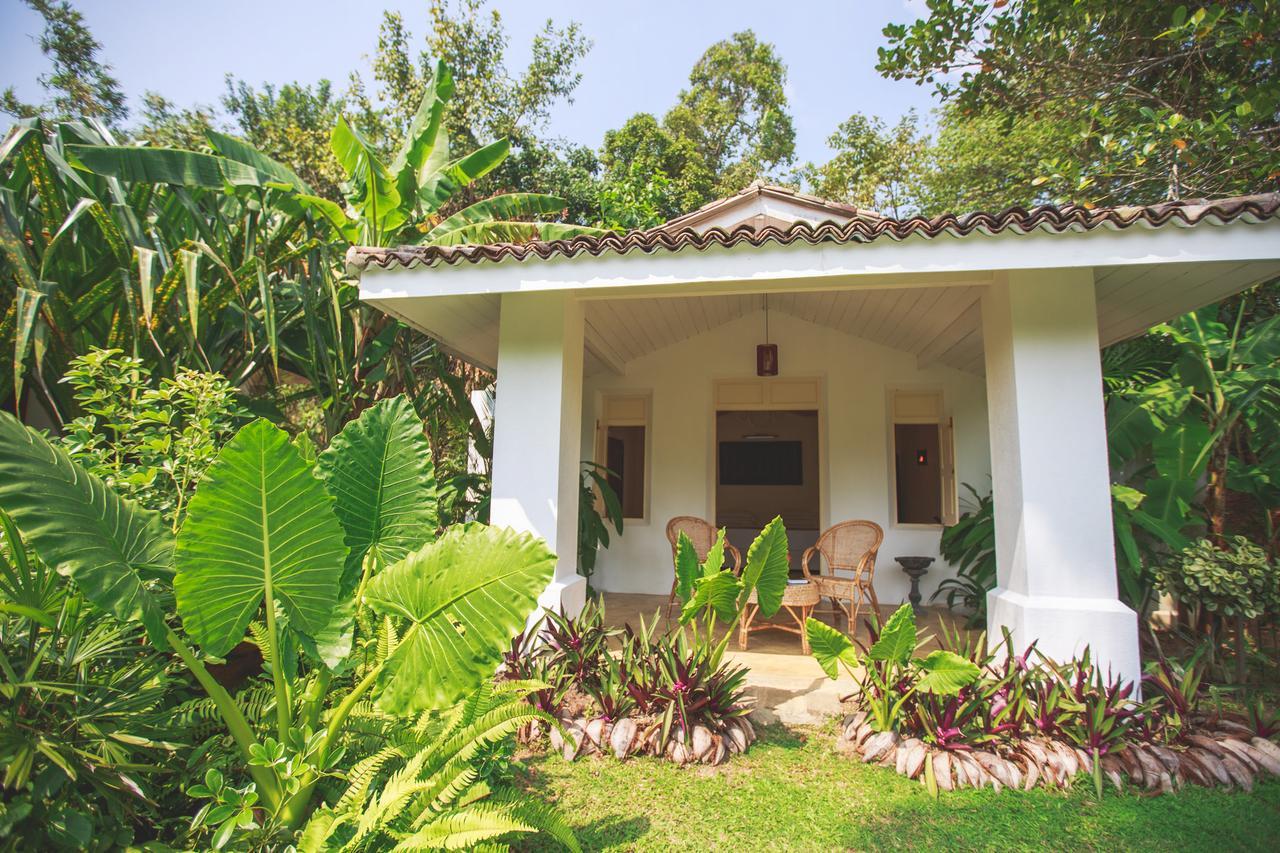 Karmel Villa Thalduwa Island - Five Bedroom Luxury Villa With Private Pool Ahangama Exteriör bild